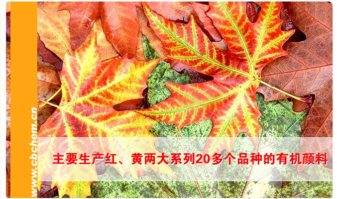 二噁英檢測_啟辰檢測,環境檢測,環境監測,環保驗收檢測,環境驗收檢測,環?？⒐を炇諜z測,土壤污染隱患排查,土壤隱患排查,土壤污染隱患調查，環評檢測,EHS檢測,排污許可證例行檢測,排污許可證申報檢測,排污許可證復查,環境三廢檢測,工業三廢檢測,環境空氣檢測,工業廢氣檢測,鍋爐大氣檢測 ,食堂油煙檢測,水質檢測,工業廢水檢測,生活污水檢測,環保三同時檢測,空氣檢測,廢氣檢測,廢氣監測,鍋爐大氣檢測,油煙檢測,廢水檢測,廢水監測,污水檢測,環保核查檢測,環境質量例行檢測,噪聲檢測,噪音監測,噪音檢測,噪聲監測,土壤檢測,污染源委托檢測,二噁英檢測,二惡英檢測,二惡英檢測機構,二惡英檢測報告,場地調查檢測,場調土壤檢測,場地調查,地下水檢測,土壤45項檢測,揮發性有機物VOCs檢測,環境第三方檢測